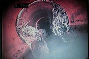 Phoenix sewer pipe video inspection